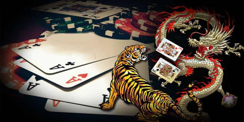 Khám phá các tùy chọn đặt cược trong trò chơi